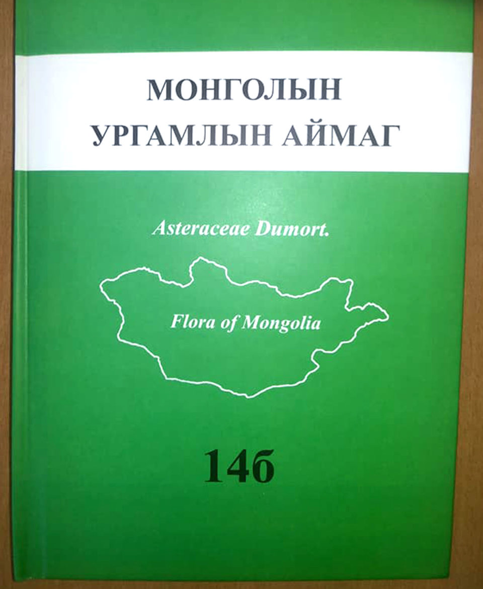 . “МОНГОЛЫН УРГАМЛЫН АЙМАГ” 14Б ДЭВТЭР (2017 ОН) (Asteraceae)